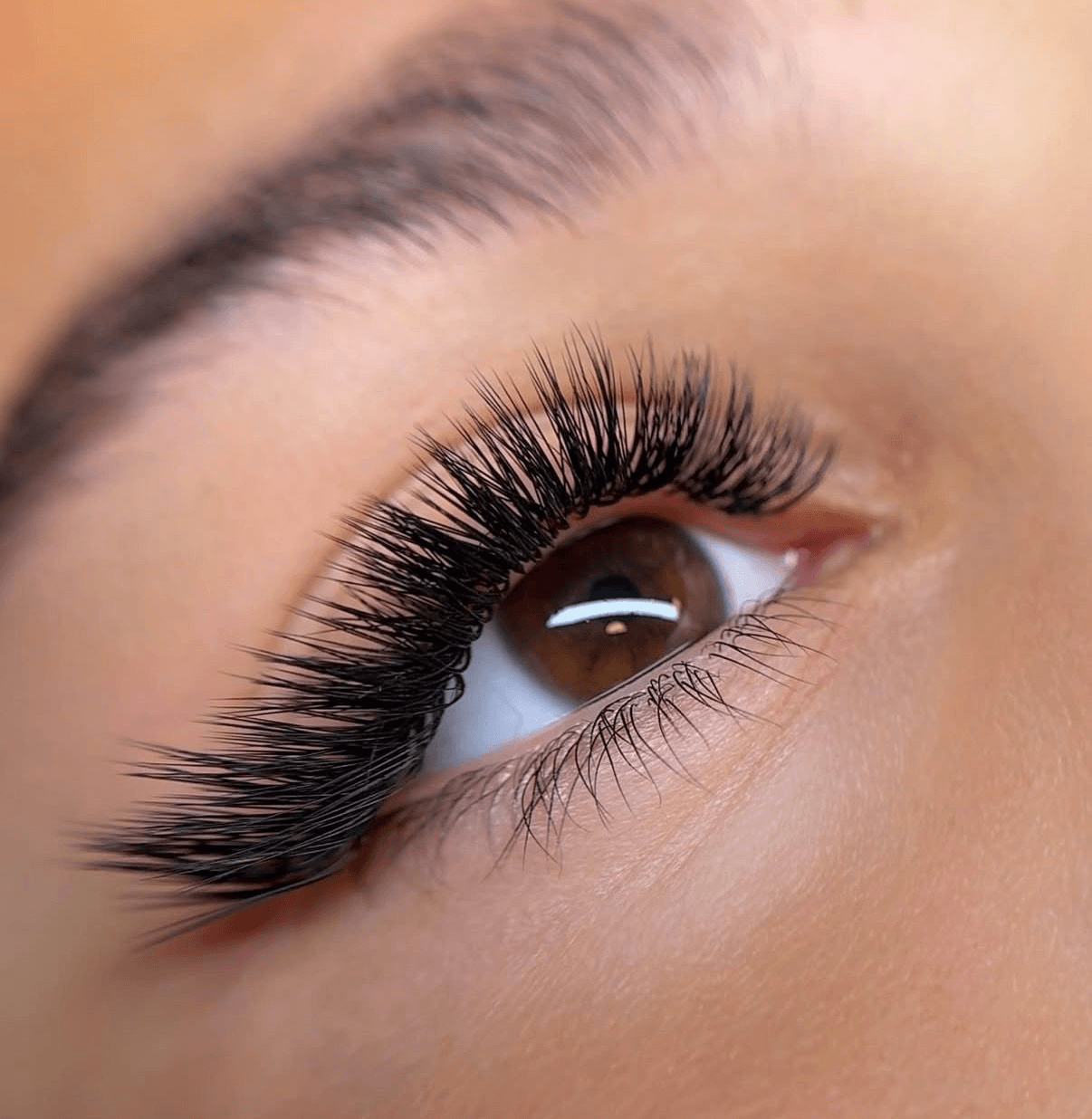 lashes miami studio