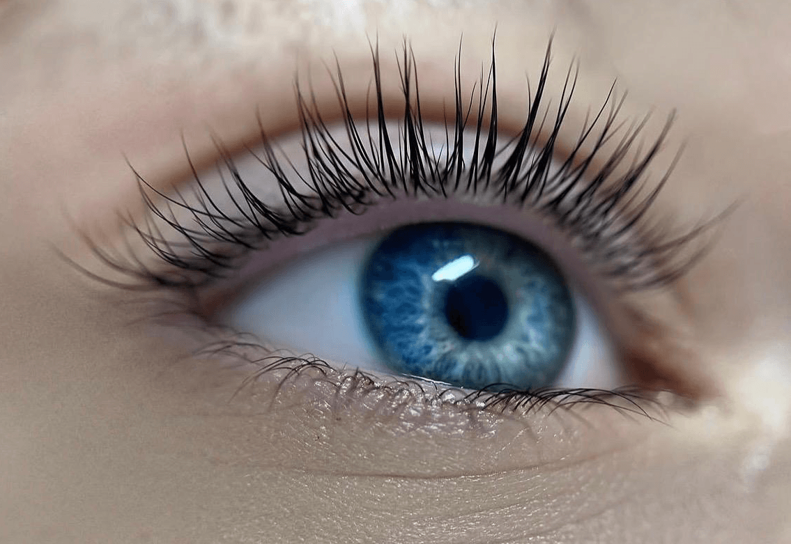 Lash Lift Salon Near Me in Miami Lash lift salon near me in Miami at Katie's Luxury Lashes